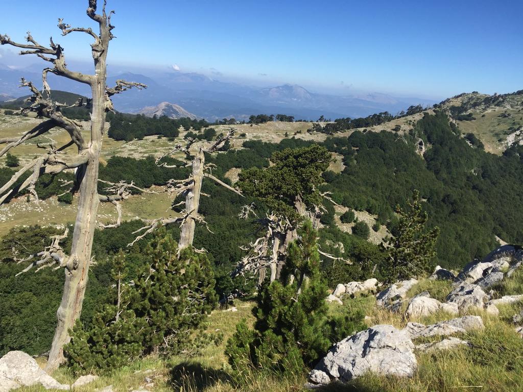 La Stella Del Pollino Hotel San Lorenzo Bellizzi Buitenkant foto